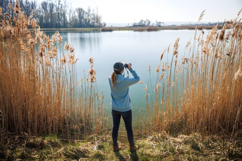 A birdwatcher beside a calm lake